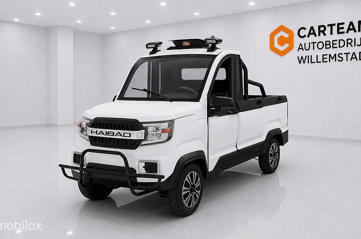 Haibao Cargo Pickup Truck 
